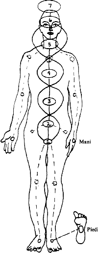 l'insieme dei chakra d� origine, nel nostro corpo ad un canale energetico dove fluir� l'energia di Reiki
